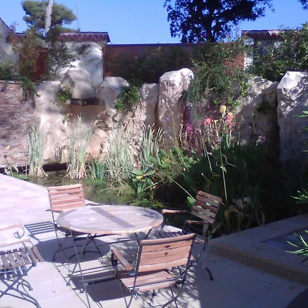 Pointe Alegre Grimaud